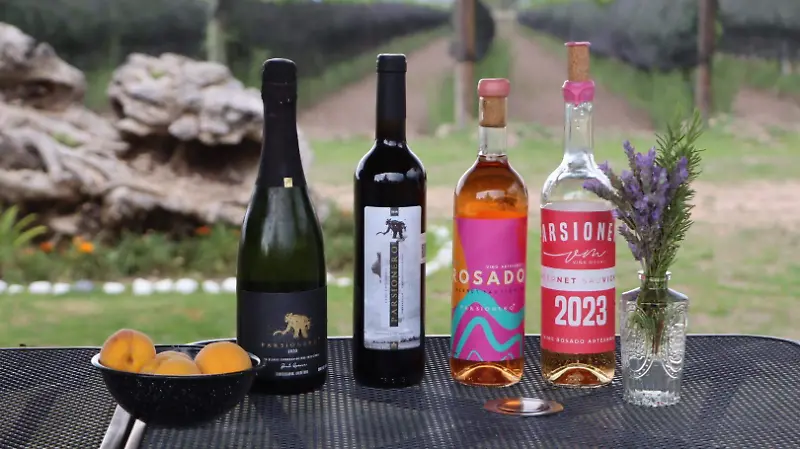La variedad de vinos que manejan son una gran experiencia para el paladar
